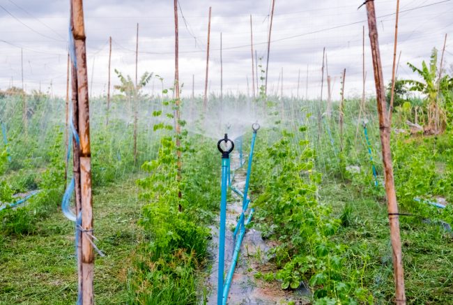 Well Irrigation System Well Irrigation System